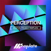 Perception | Ableton Project Template