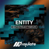 Entity | Ableton Project Template