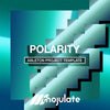 Polarity | Ableton Project Template